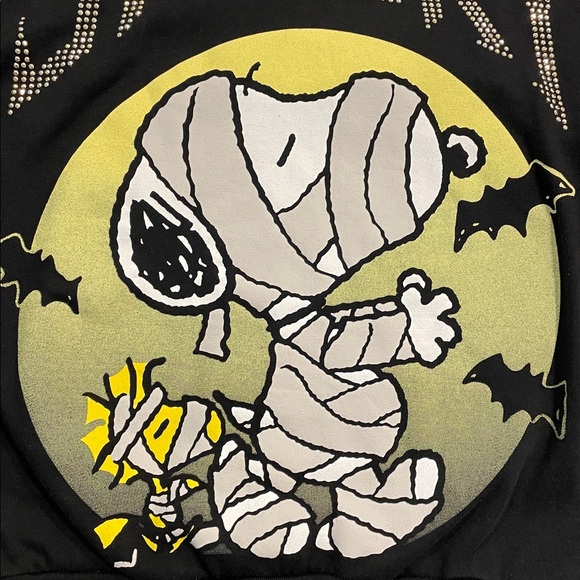 Peanuts Snoopy and Woodstock Halloween Crewneck Sweater Extra Small - Picture 5 of 16